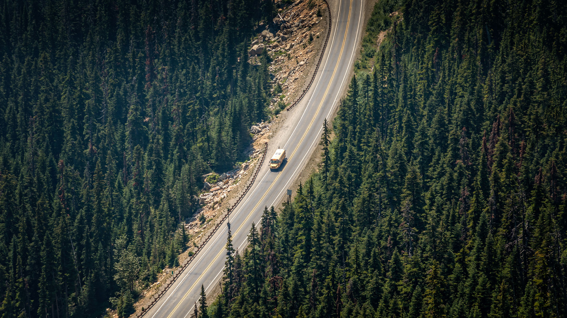 school bus on woody mountain highway